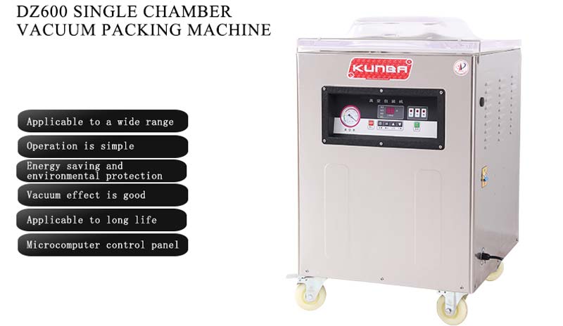 Вакуумная упаковочная машина для пищевых продуктов DZ-600 DZ-600 Food vacuum packaging machine